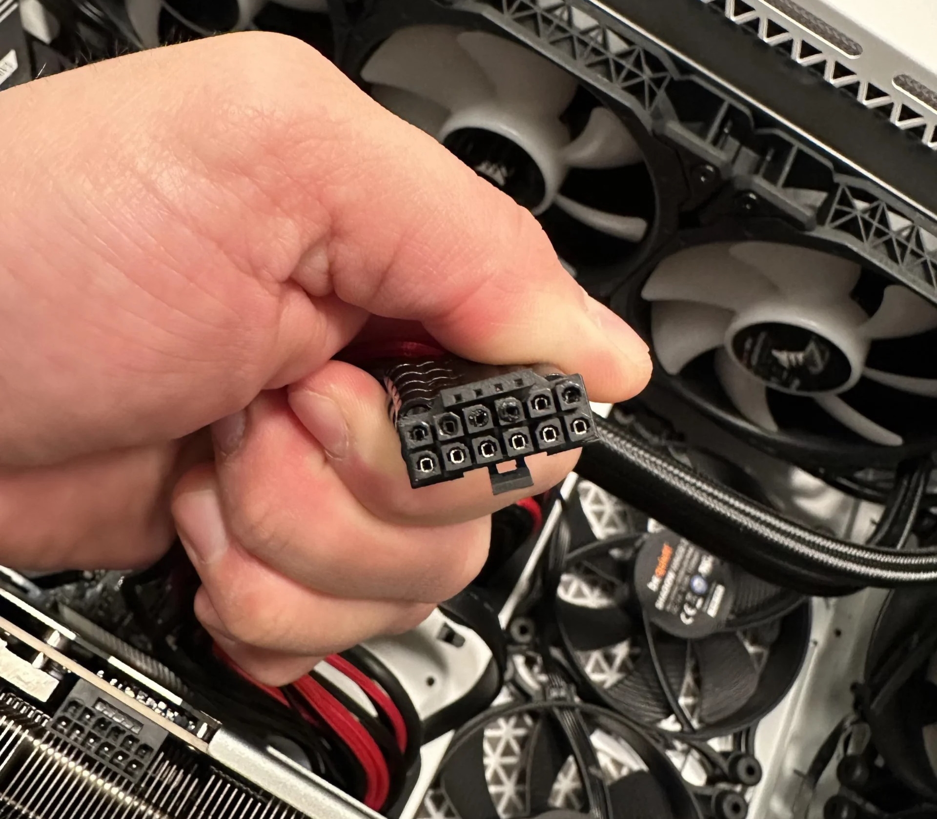 Schuko shop 3 Schuko shop -Schuko shop ff